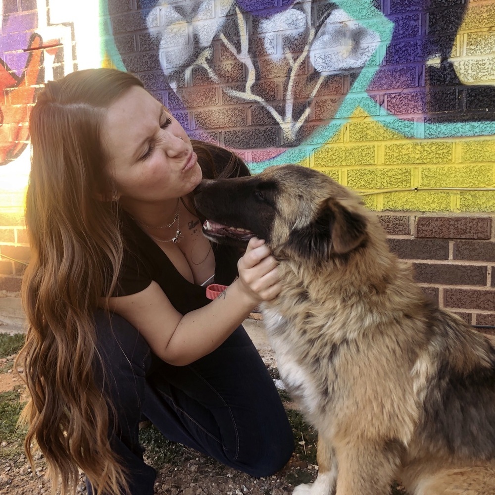 Meet your Posher, Regan